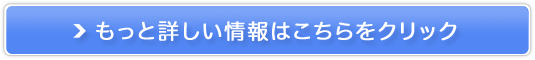 i`fI̔TCg